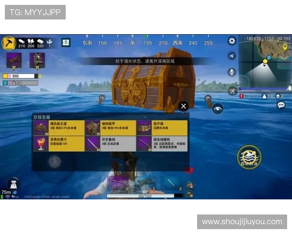 九游网页版直接进入排行榜的实用技巧让你轻松登顶游戏排行榜榜首